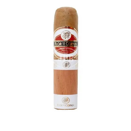 Flor De Copan Short Magnum